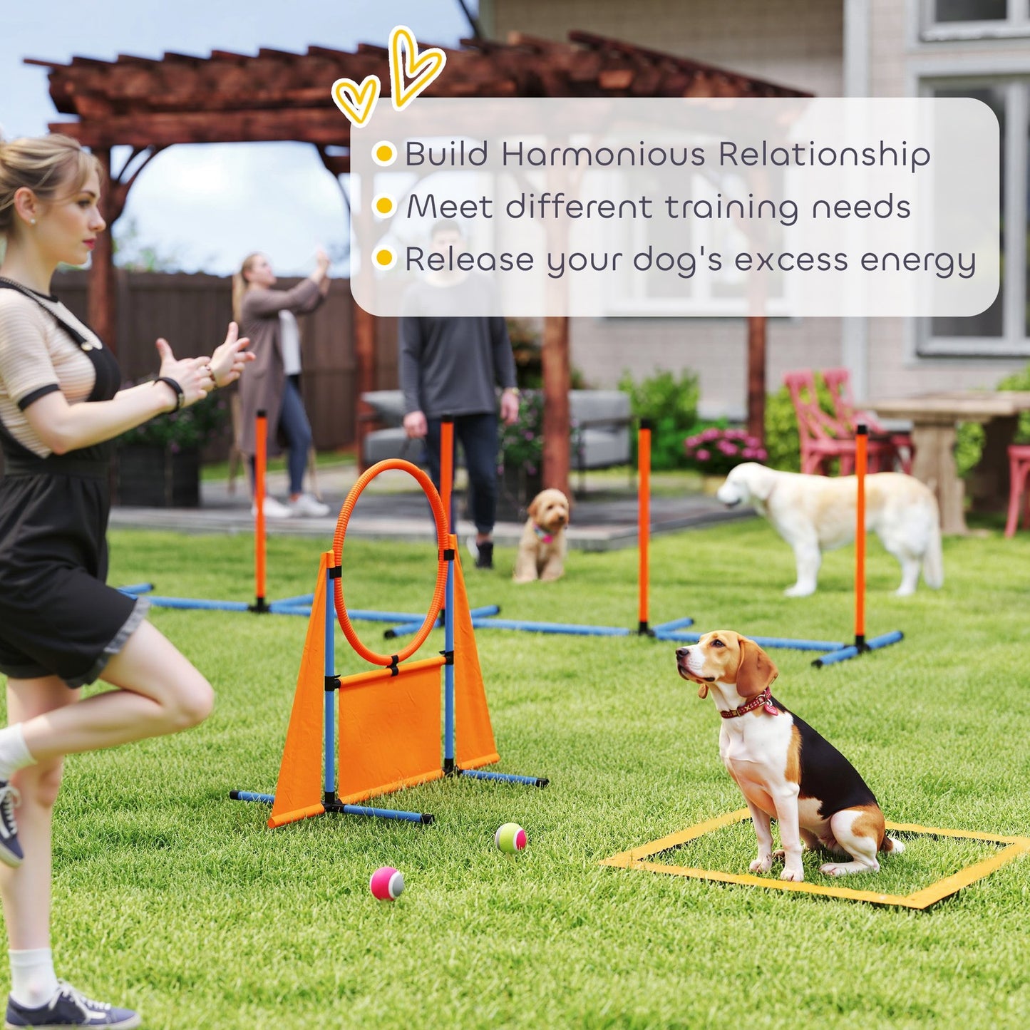 6-Piece Dog Agility Equipment, Pet Agility Training Set with Weave Poles