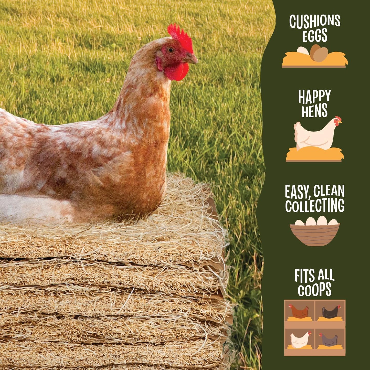 Aspen Nesting Pads for Chicken Coops - USA Grown Aspen Excelsior Nest Box Liners 13X13-12 Pack