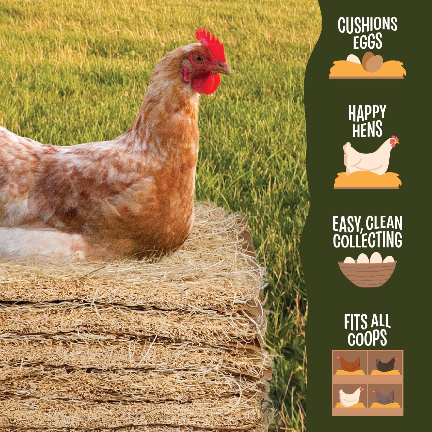 Aspen Nesting Pads for Chicken Coops - USA Grown Aspen Excelsior Nest Box Liners 13X13-12 Pack