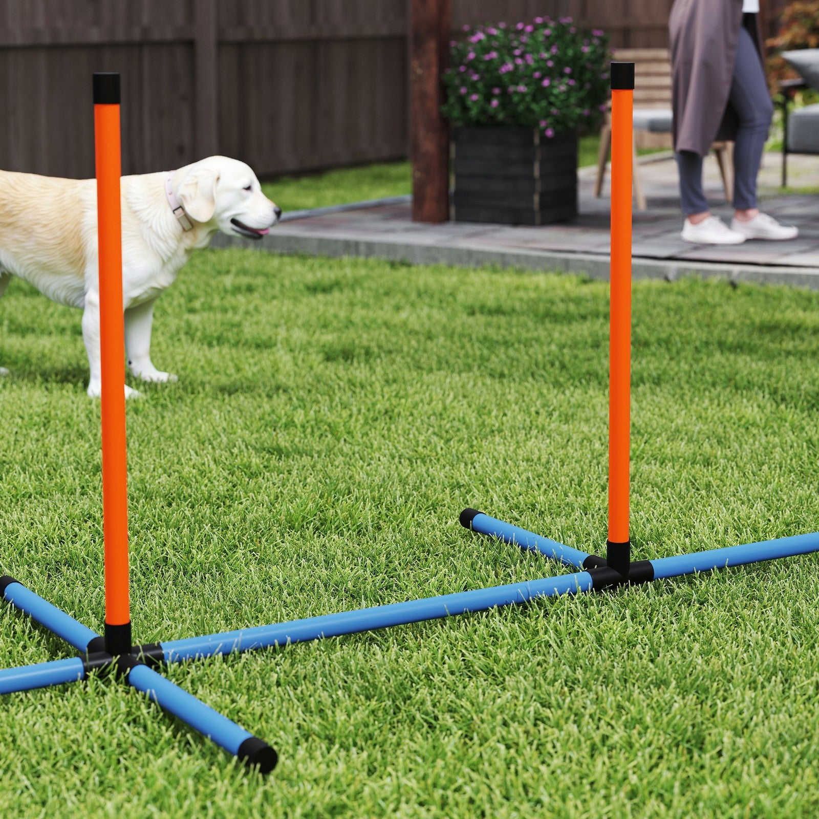 6-Piece Dog Agility Equipment, Pet Agility Training Set with Weave Poles