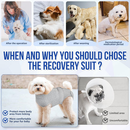 Dog Surgery Recovery Suit, Female Male Dog Surgical Bodysuit Abdominal Wounds Protector, Stop Licking Spay Shirt after Surgery Onesie with Zipper, Pet Cone E-Collar Alternative(M)
