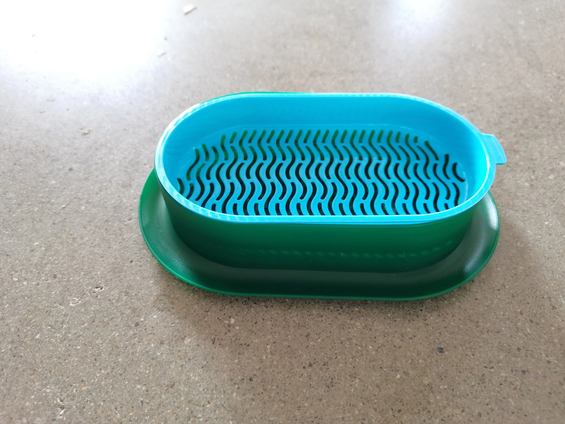 New Pet Cat Sprout Dish Growing Pot Hydroponic Plant Cat Grass Germination Digestion Starter Dish Greenhouse Grow Box