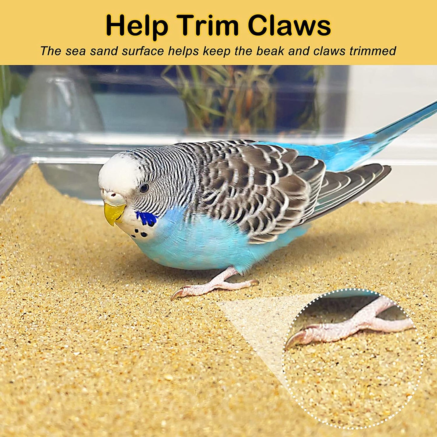 Bird Cage Liner 30-Pack 15” X 11” Gravel Paper for Bird Cage | Sand Sheets for Easier Cleaning and Bird Health